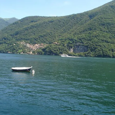 Guest house Plinio 3*