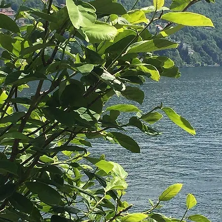 Guest house Plinio Laglio